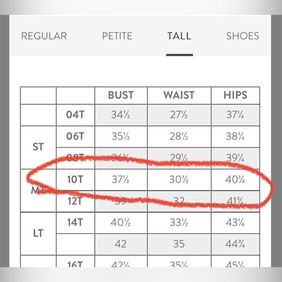 New! J. Jill Grey Stretch Live in Chinos Brushed cotton blend straight leg Pants - Picture 7 of 8